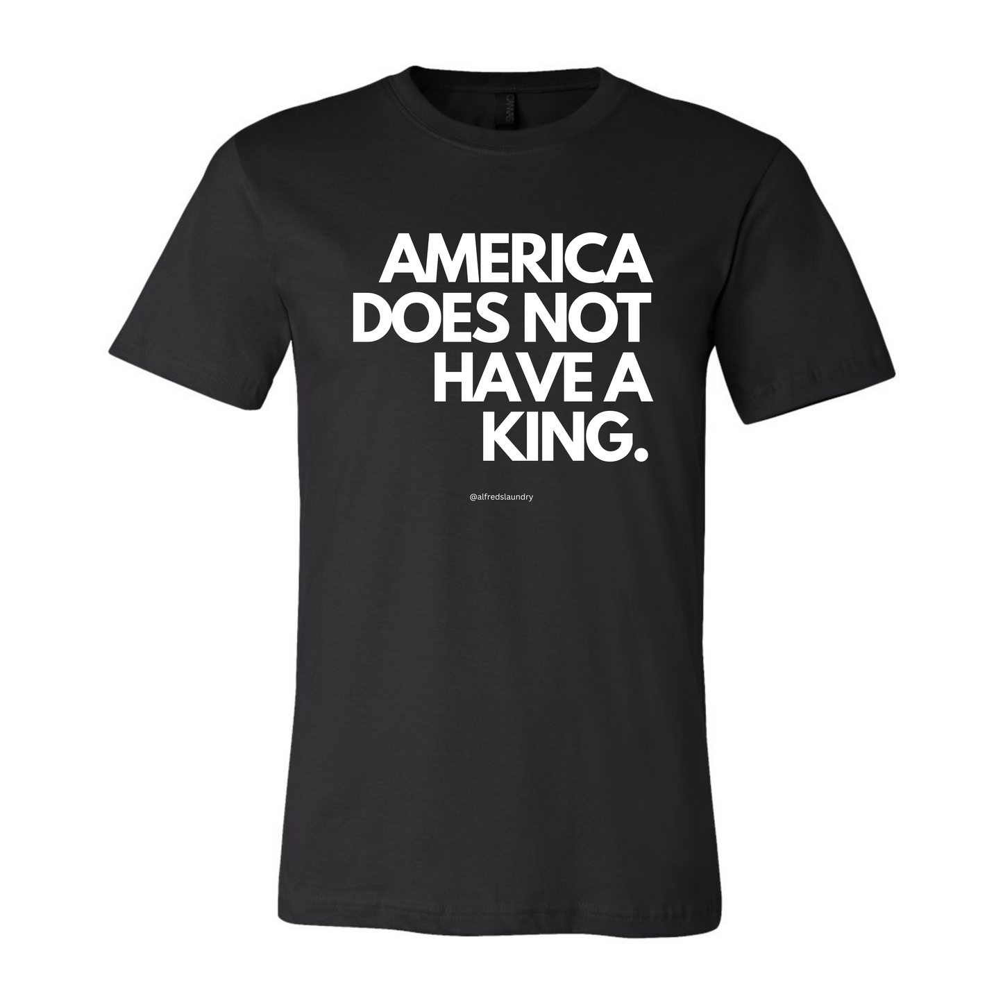 "America Does Not Have A King" - T-shirt
