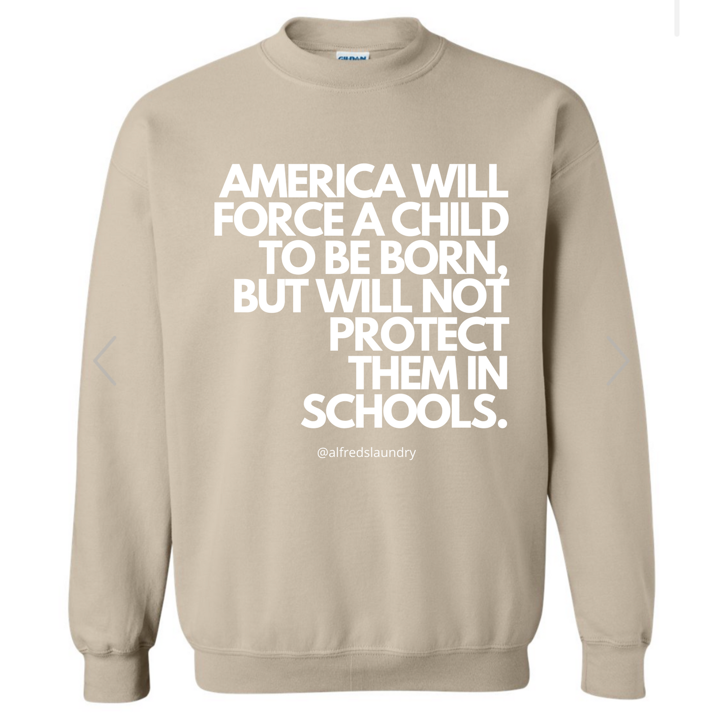 “AMERICA WILL FORCE A CHILD TO BE BORN, BUT NOT PROTECT THEM IN SCHOOLS" Crewneck