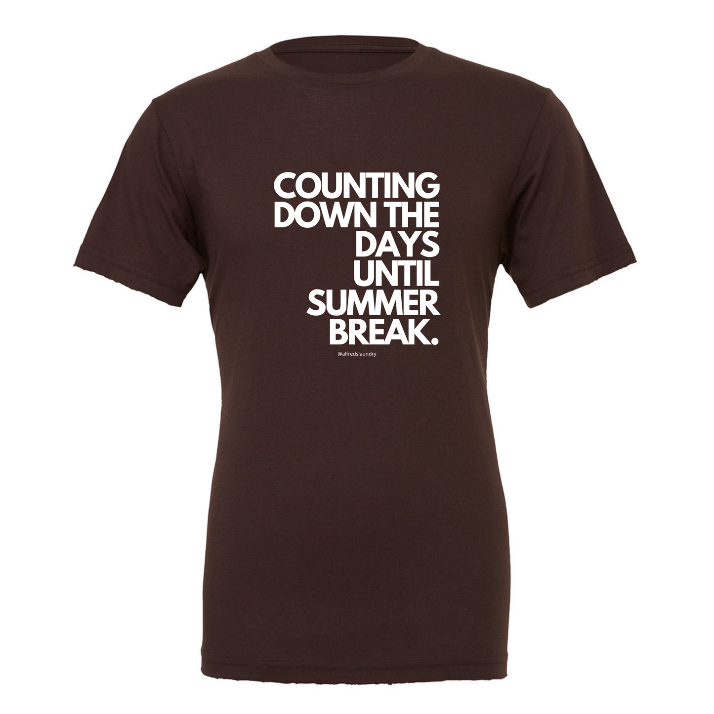 "Counting Down The Days Until Summer Break" - T-Shirt