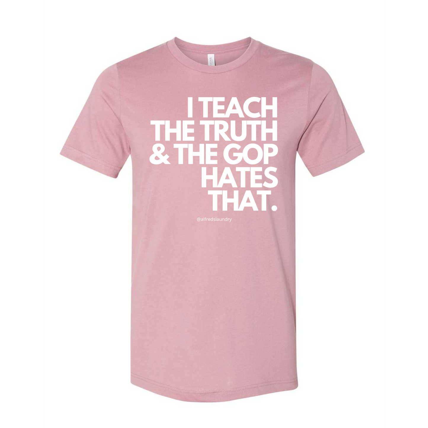 I Teach The Truth & The GOP Hates That - T Shirt